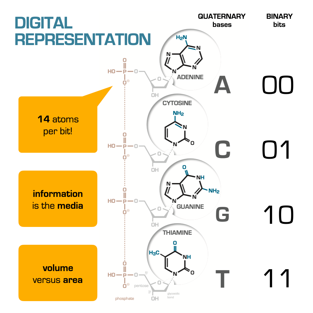 DNA Data Storage